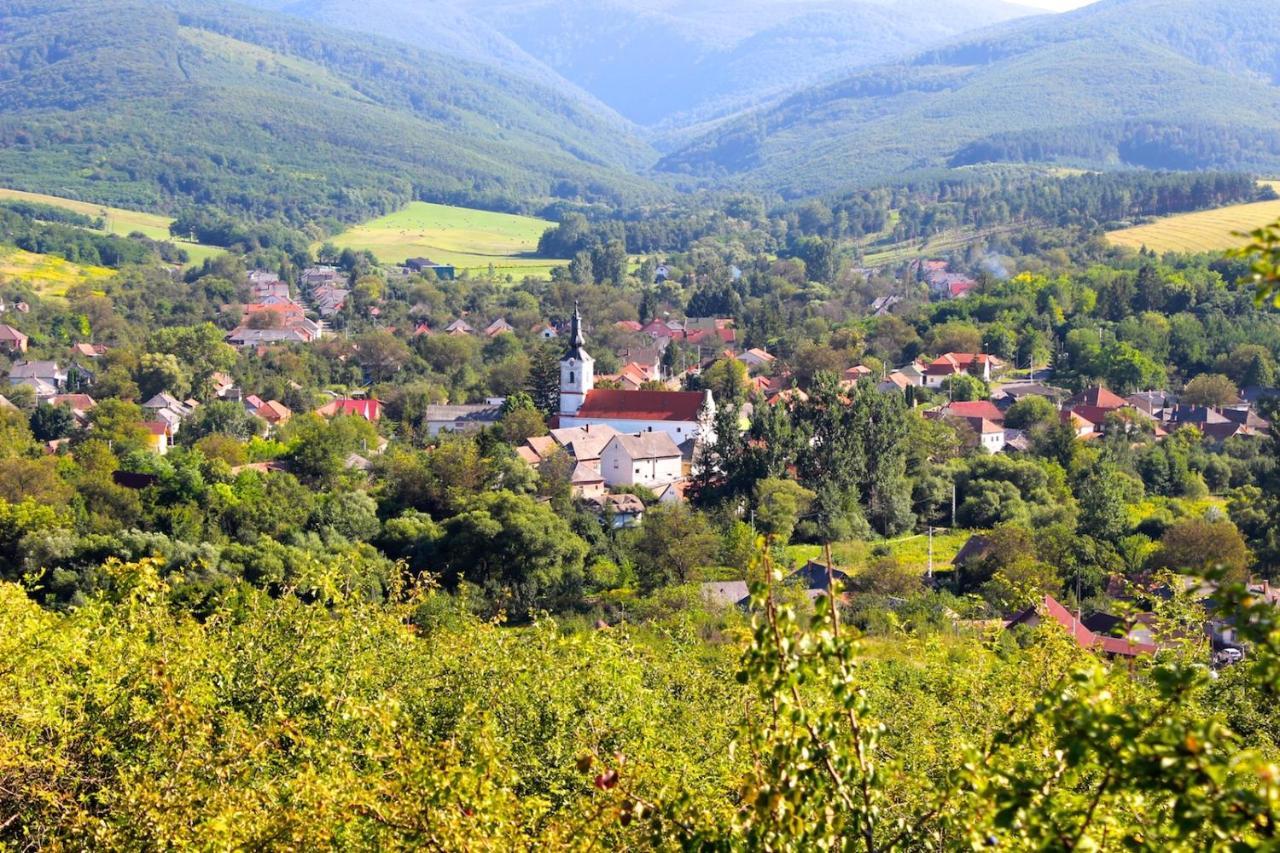 Hotel Antik Vendeghaz Nagyvisnyó Exteriér fotografie